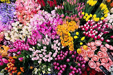 《夺宝奇兵：古老之圈》开发商悄然取消未公开项目