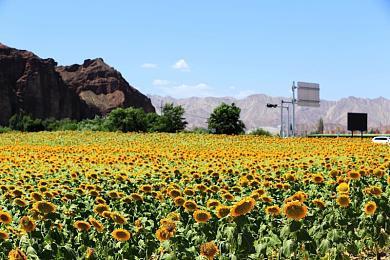 暴雪正开发一个未公布的开放世界射击游戏 可能是《星际争霸》衍生作